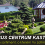 Okrasné jehličnaté rostliny od profesionálů